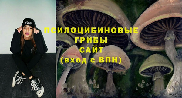 мяу мяу мука Алзамай