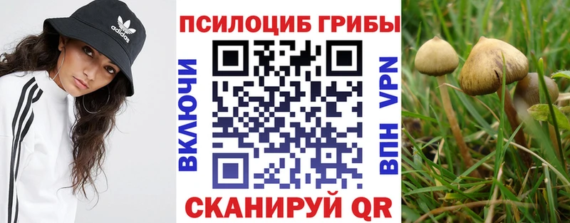 Галлюциногенные грибы Magic Shrooms  Купить  Тобольск 